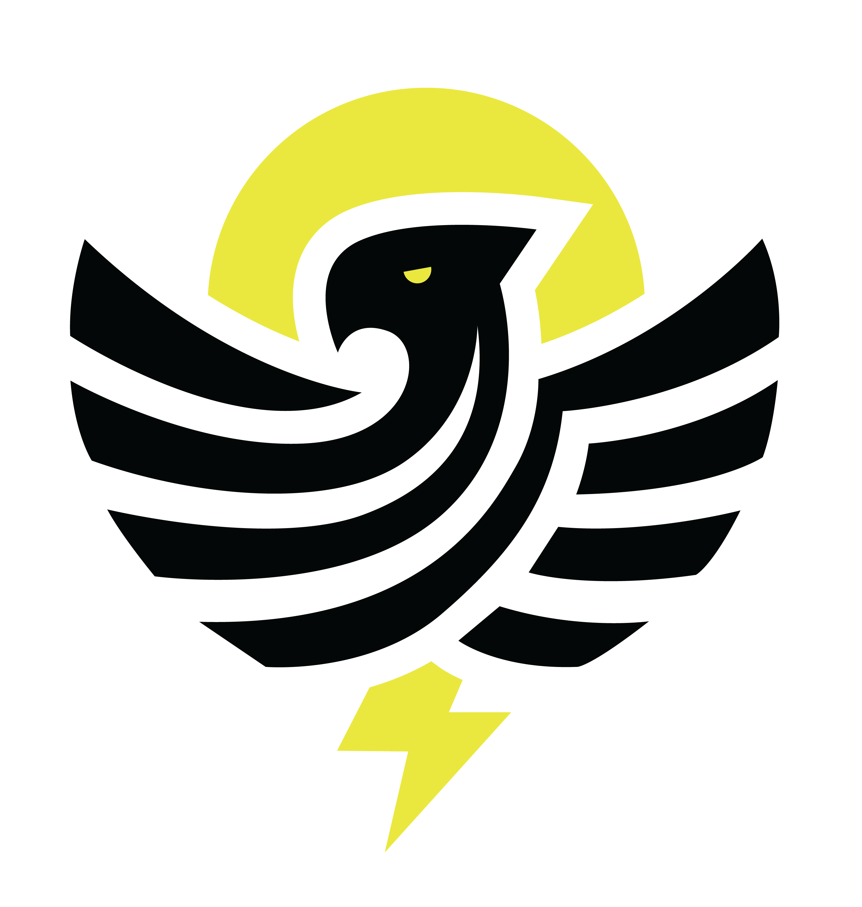 Thunderbird Solar